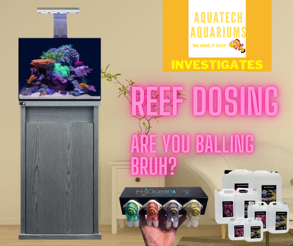 Reef Tank Dosing: How to initiate and control coral growth… Calcium, KH, Magnesium, Amino Acids… Are you Balling Bruh?