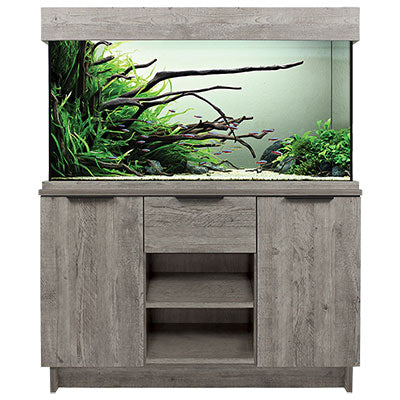 Tropical Aquariums