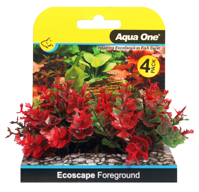 EcoScape Foreground 'Catspaw' Red 4pk