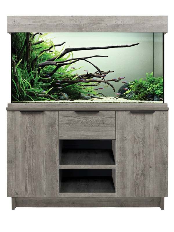 Oak 2024 fish tank