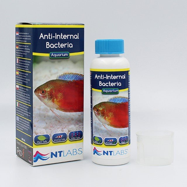 NT Labs Aquarium - Anti-Internal Bacteria - Aquatech Aquariums