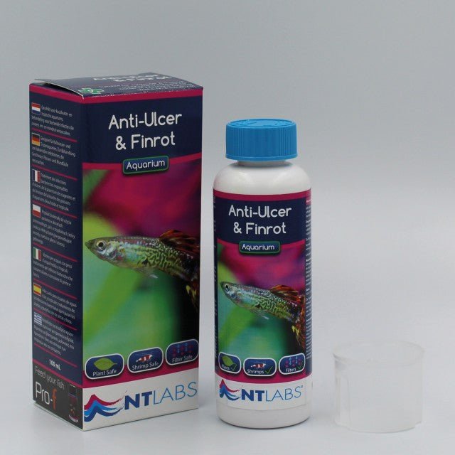 NT Labs Aquarium - Anti-Ulcer & Finrot - Aquatech Aquariums